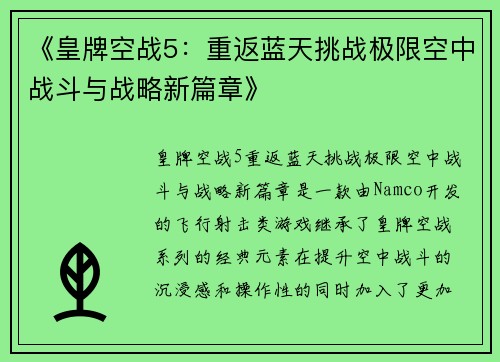 《皇牌空战5：重返蓝天挑战极限空中战斗与战略新篇章》