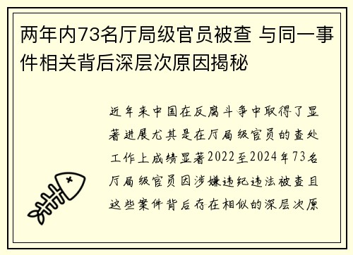 两年内73名厅局级官员被查 与同一事件相关背后深层次原因揭秘